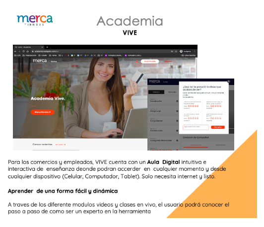 Academia en línea